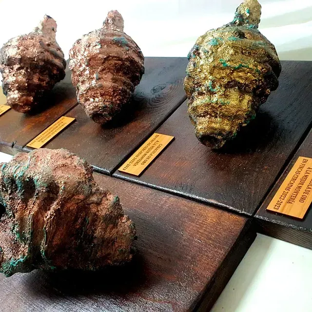 Varios trozos de roca se exhiben en un estante de madera con una etiqueta que dice 'minería de cobre'.