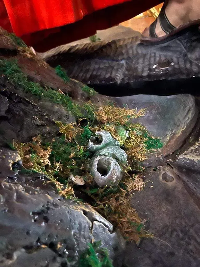 Una persona está parada al lado de una roca con musgo.