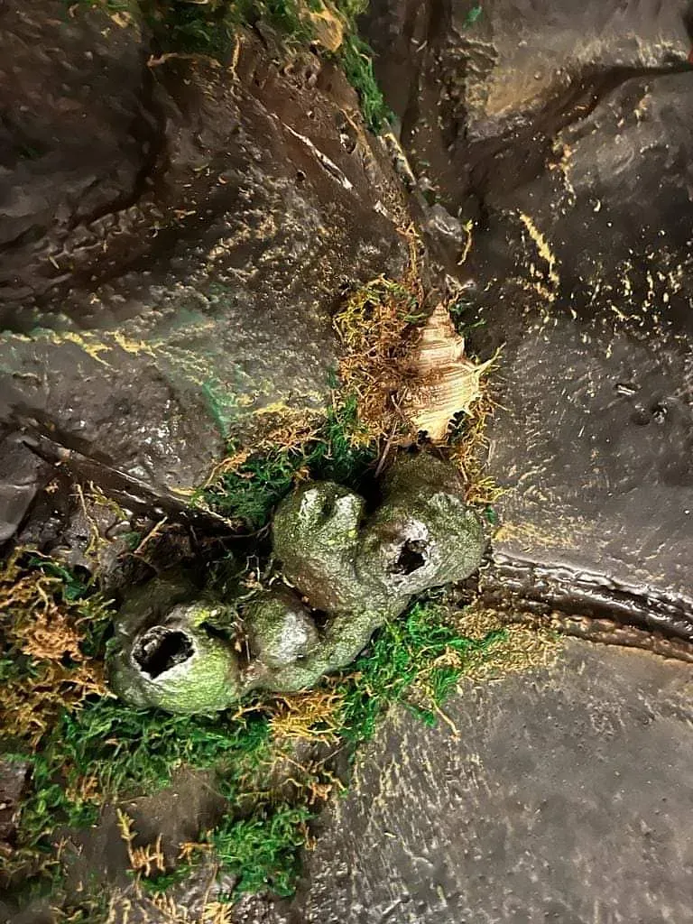 Un par de ranas sentadas en lo alto de la rama de un árbol.