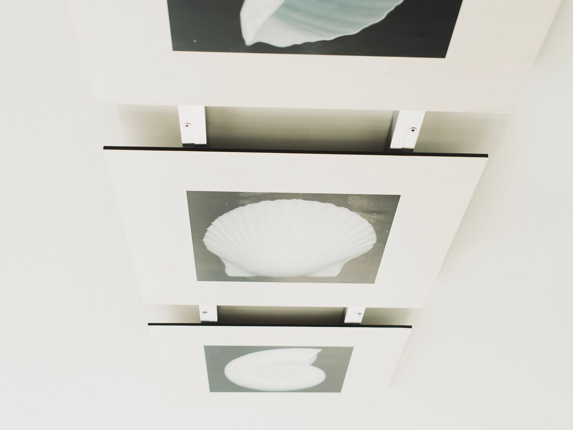 praxis Dr. Markus Deisslerpraxis