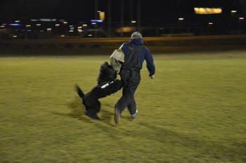 Thayiro Schutz - Hundesalon Dany - St. Gallen