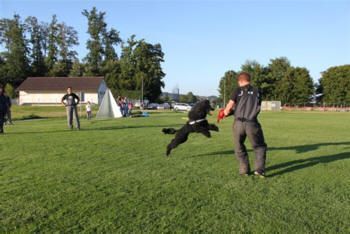 Thayiro Schutzdienst Hund - Hundesalon Dany - St. Gallen