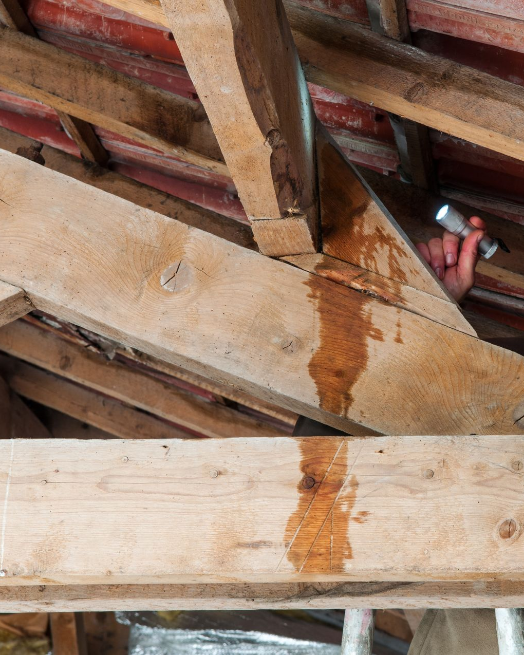Homme qui cherche une fuite d'eau sur une toiture