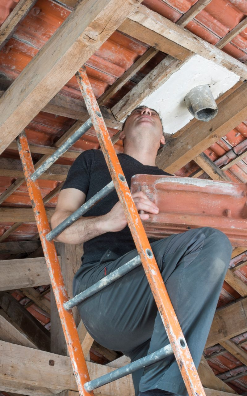Un homme, juché sur une échelle, inspecte une ouverture dans le toit en tenant une tuile. On aperçoit des poutres en bois et des tuiles orange.