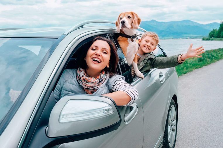 Un adulto sonriente, un niño y un perro se asoman por la ventanilla de un coche durante un viaje por carretera junto a un lago con montañas al fondo.
