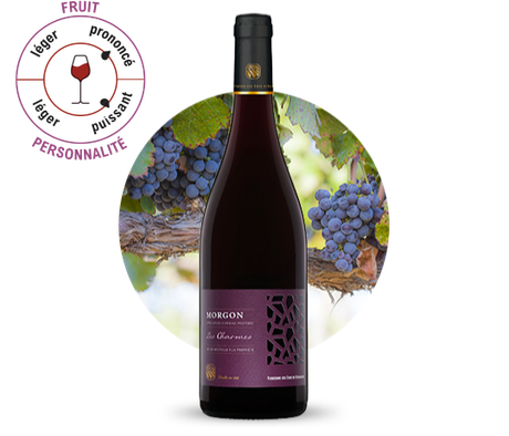 Présentation d'une bouteille de vin rouge Morgon. Fruit : prononcé ; personnalité : puissant.