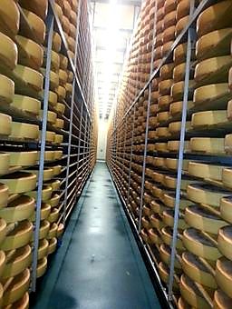 Fromagerie d'Ogoz - spécialité