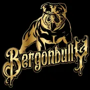 Logotipo de bulldog dorado con texto g&oacute;tico &ldquo;Bergenbullys&rdquo; sobre fondo negro.