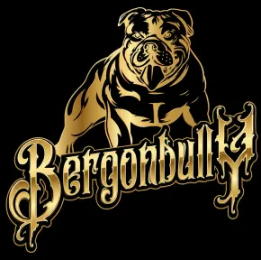 Logotipo de bulldog dorado con texto gótico “Bergenbullys” sobre fondo negro.