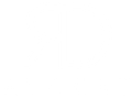 Logo  Daniel Ruimy 