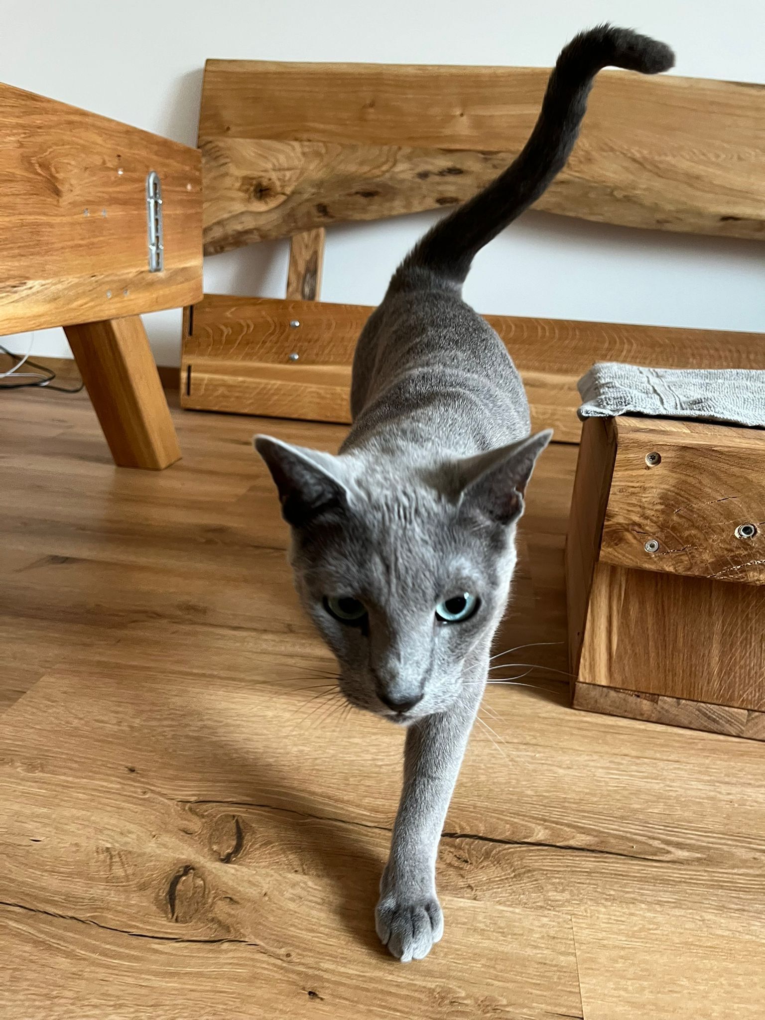 Impressionen zu Lieferung & Montage