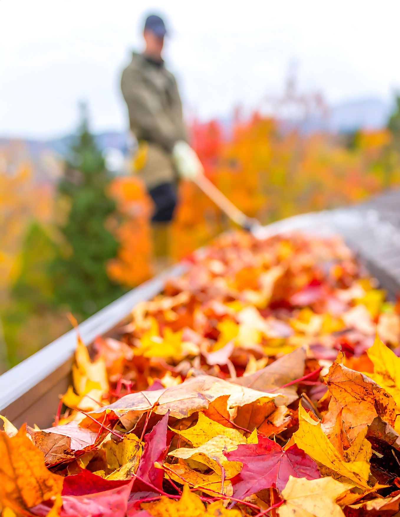 Des feuilles jonchent un caniveau. Une personne ratisse les feuilles par une belle journée d'automne.