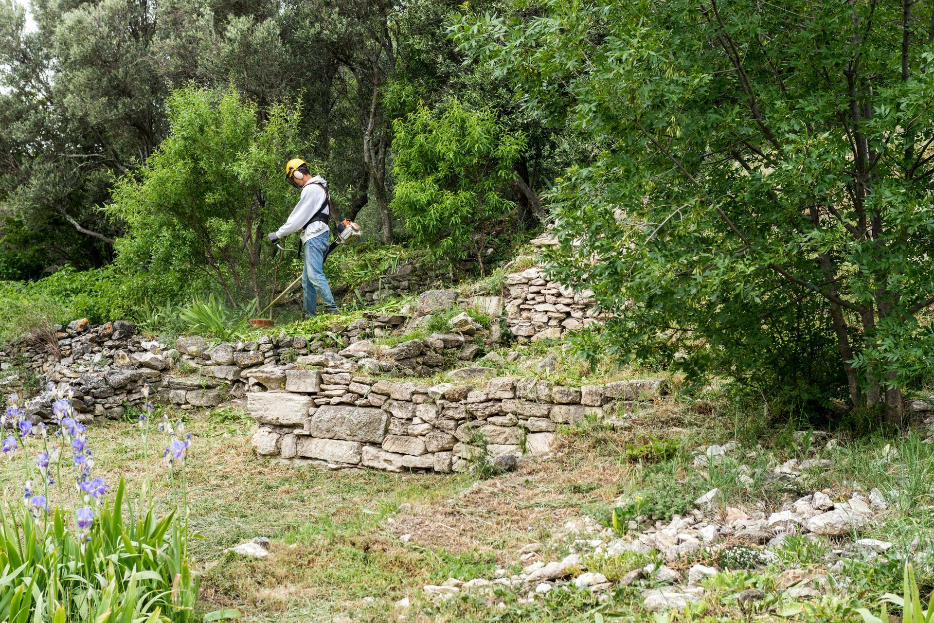 Une personne utilise une débroussailleuse près de ruines de pierre et d'arbres. À l'extérieur, verdure et fleurs bleues.