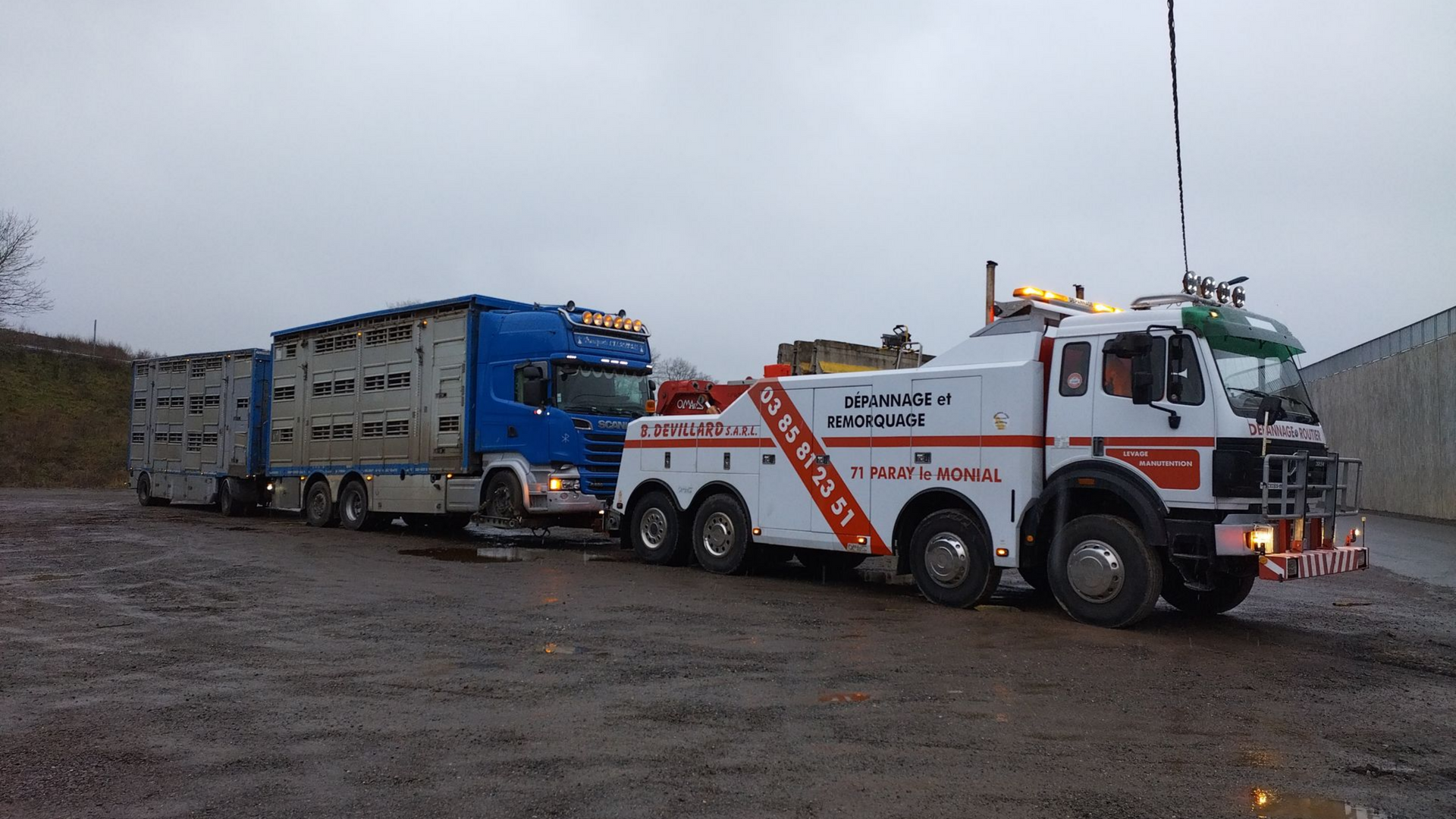 Remorquage d'un camion transportant des animaux