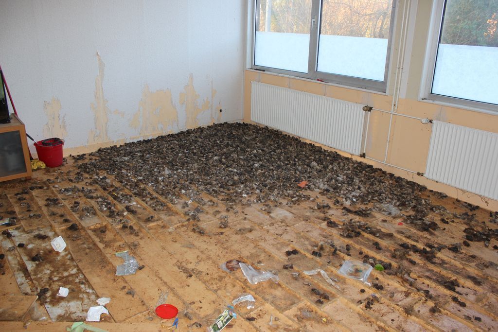 Zimmer mit einem mit Schutt bedeckten Boden und Wasserschäden an den Wänden.