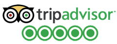 Logo TripAdvisor