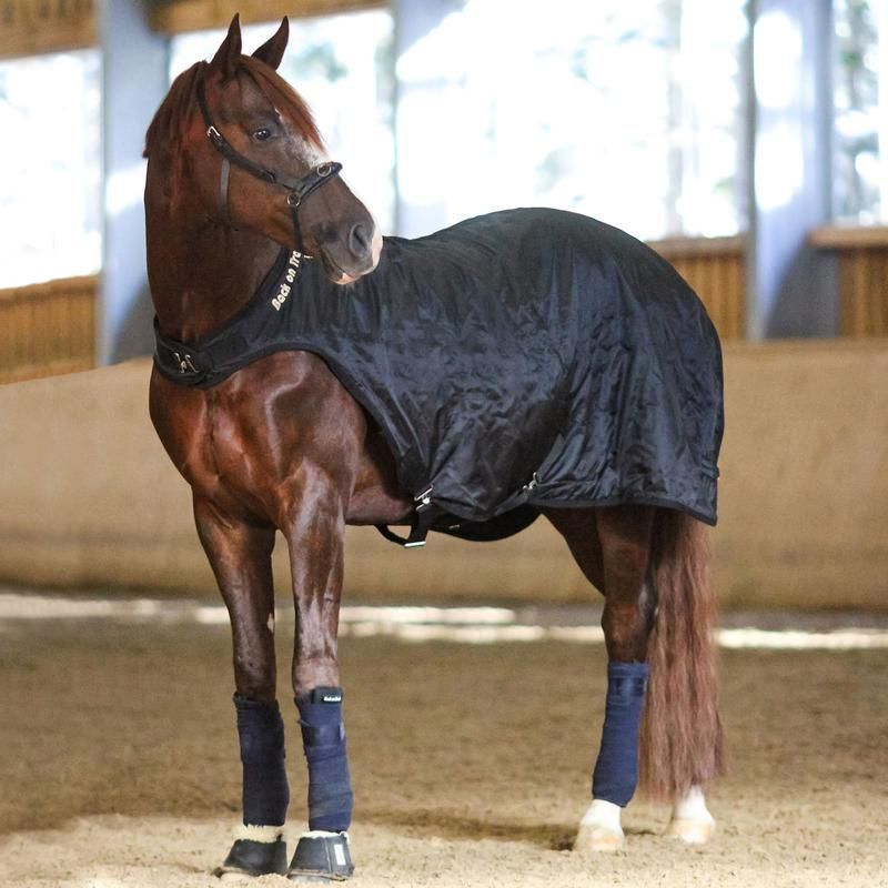 Back on track marcheur