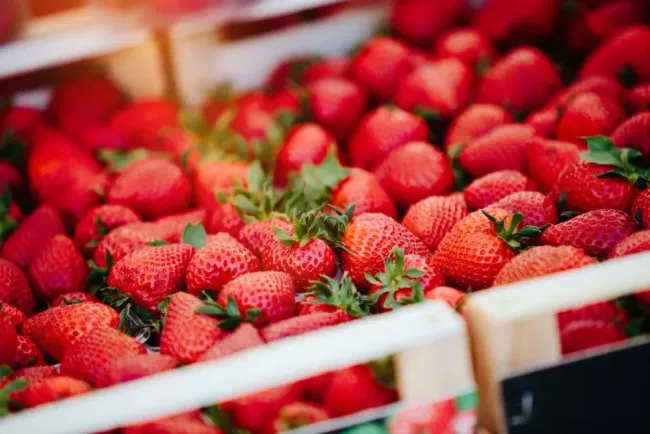 Un montón de fresas están en una caja de madera.