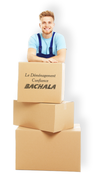 Un déménageur derrière une pile de carton de la marque Bachala