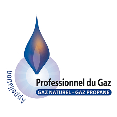 Logo du réseau Professionnel du gaz