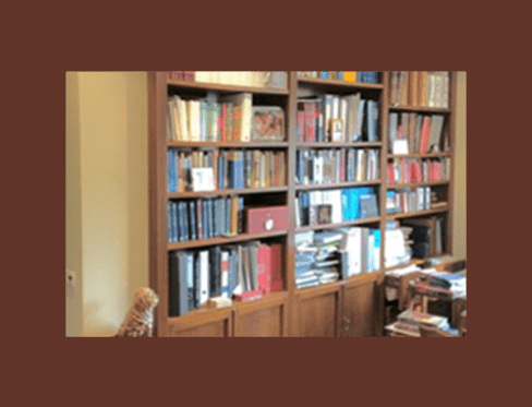 Estanterías llenas de libros, un perrito sentado delante, paredes de color neutro.