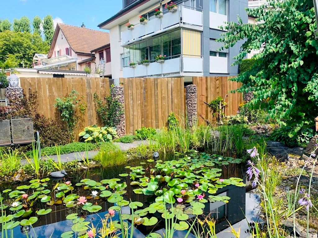 Gartenpflege - Zürich - Strotz Gartenbau AG