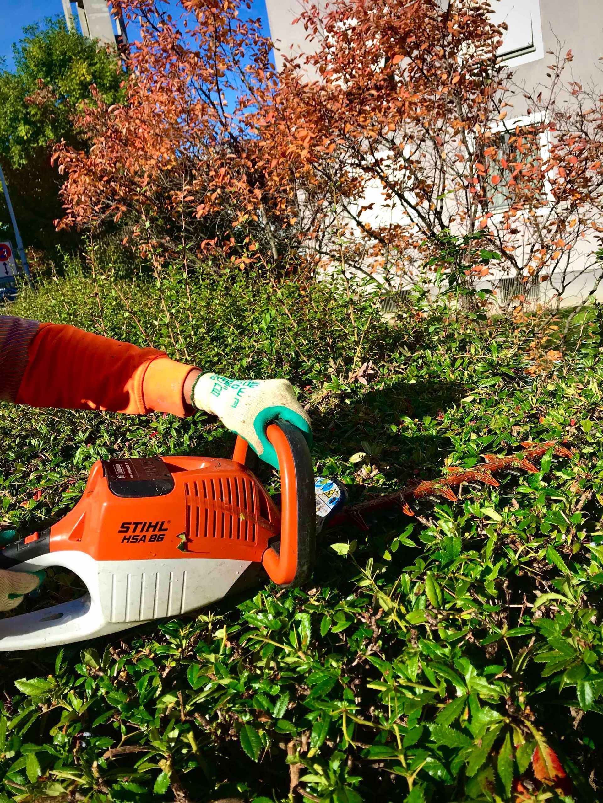 Gartenpflege - Zürich - Strotz Gartenbau AG