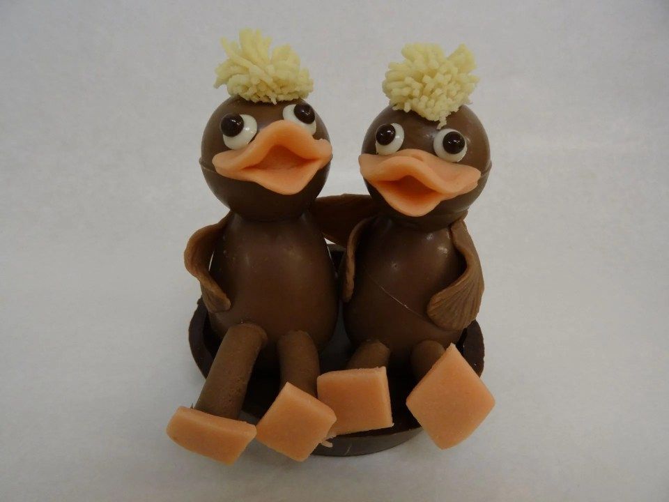 Deux canards en chocolat sont assis l'un à côté de l'autre