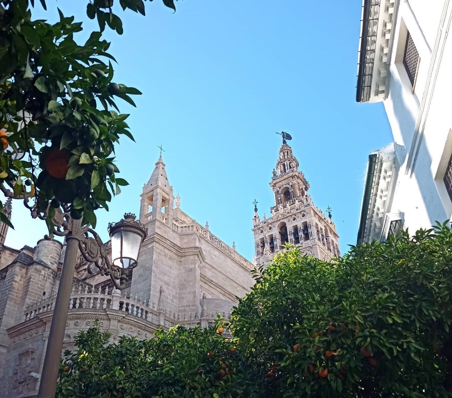 A building with a clock tower on top of it