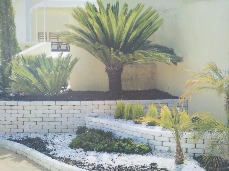 Una pared de ladrillos con una palmera en el medio