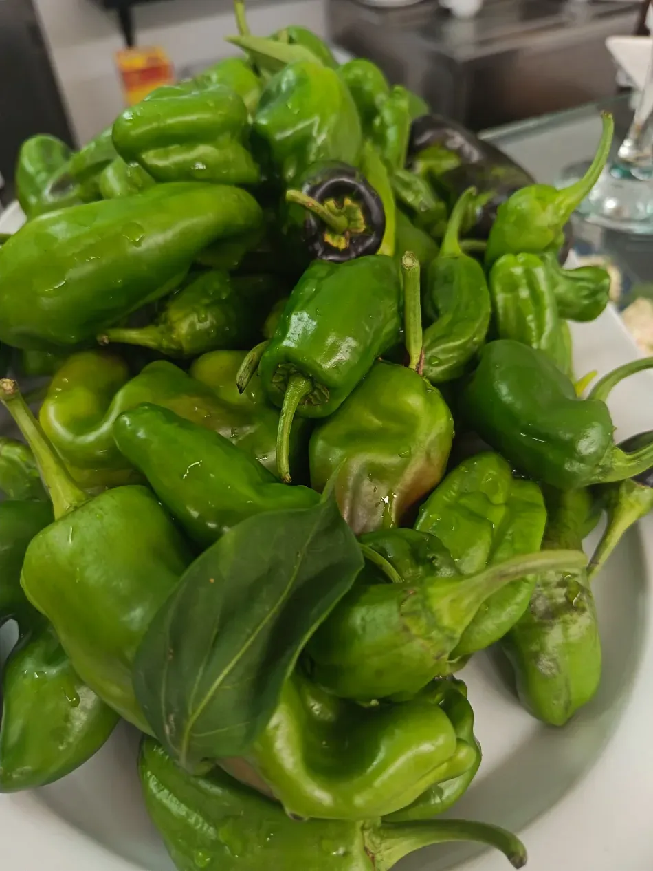 Montón de pimientos verdes brillantes en un plato blanco, uno de ellos con el tallo parcialmente oscurecido