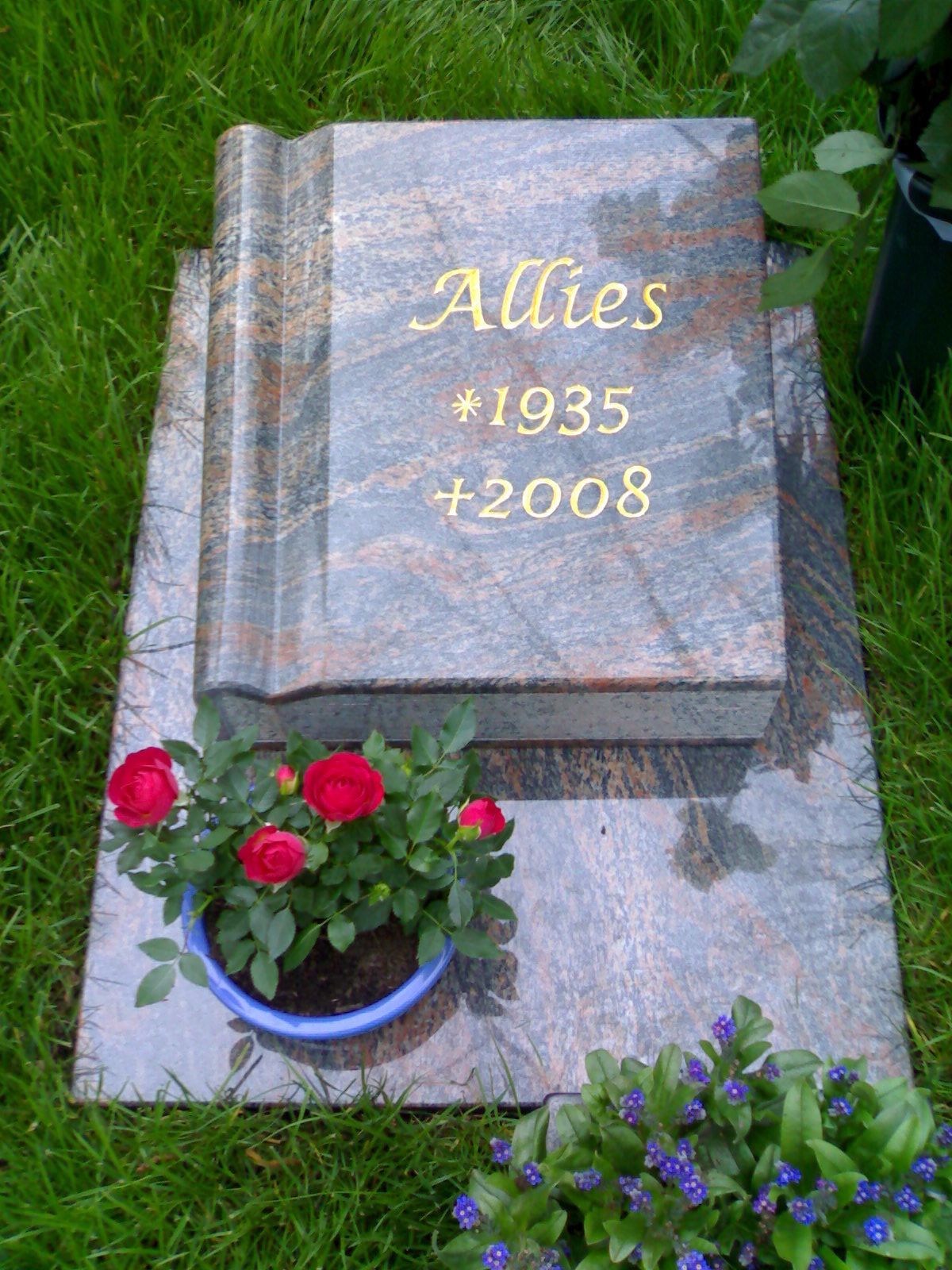 Grabstein in Form eines Buches mit dem Namen „Alliiertes“, Geburts- und Sterbejahr; rote Rosen und blaue Blumen.