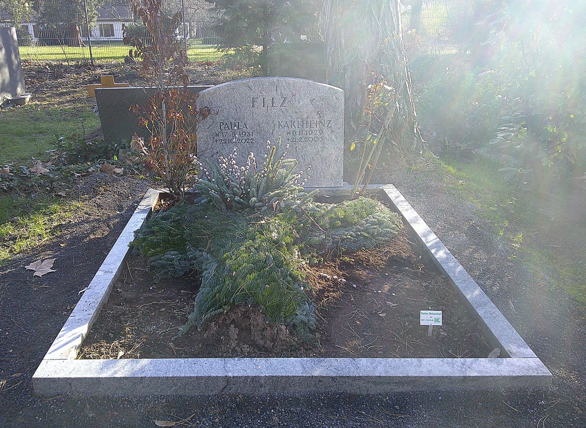 Grabstein mit Steinrand und Grünpflanzen, aufgestellt auf einem Friedhof.