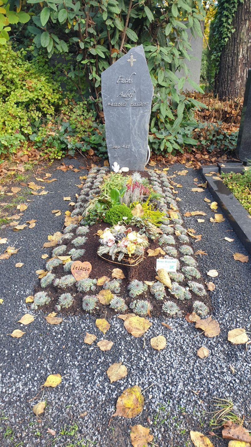 Grabstein auf einem Friedhof, mit Steinmarkierung und verziertem Grab, umgeben von kleinen Pflanzen und herabgefallenen Blättern.