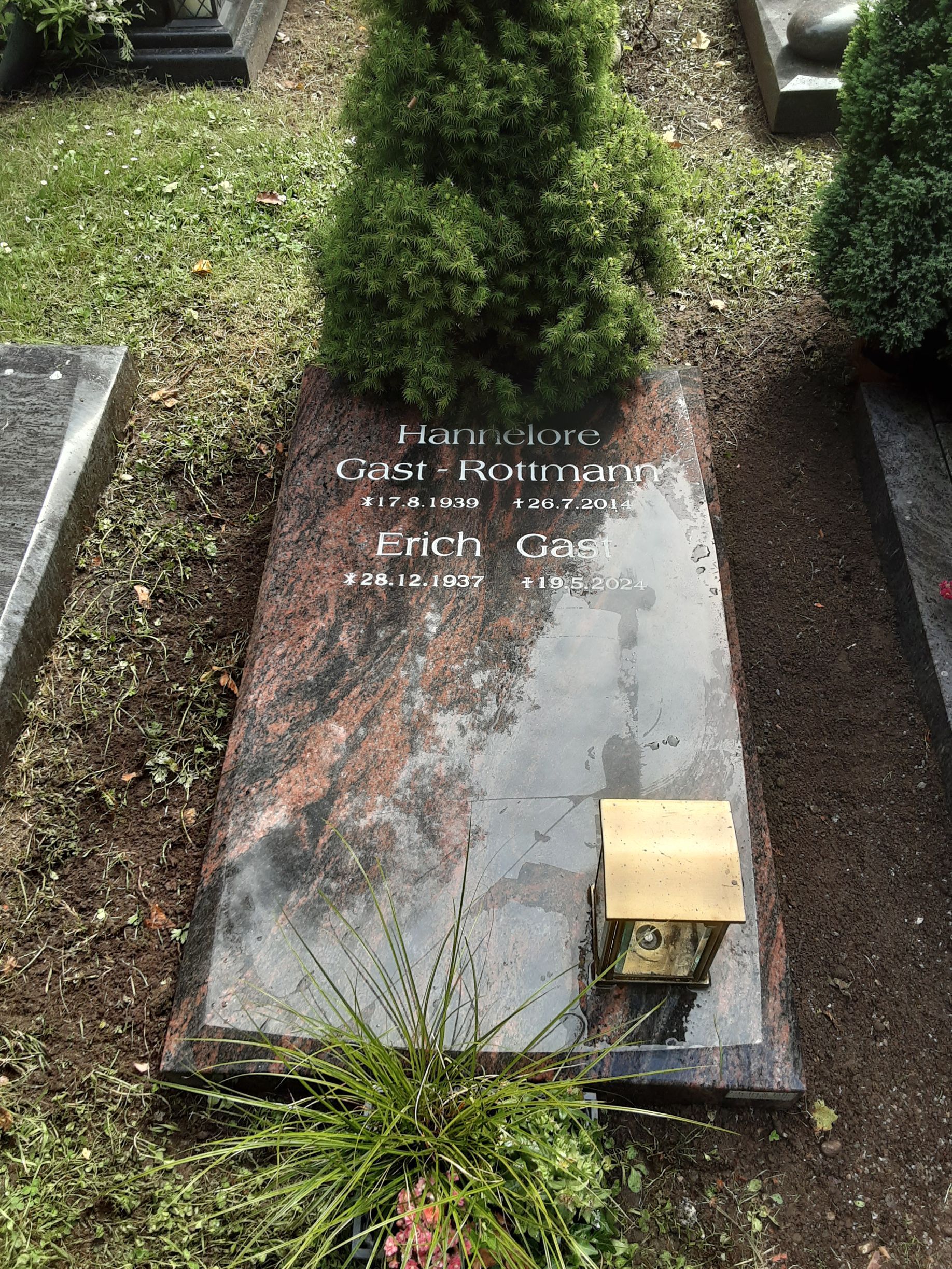 Ein Grabstein mit Inschrift auf dunklem, gemustertem Stein, ein kleiner immergrüner Busch und eine Messingplakette.