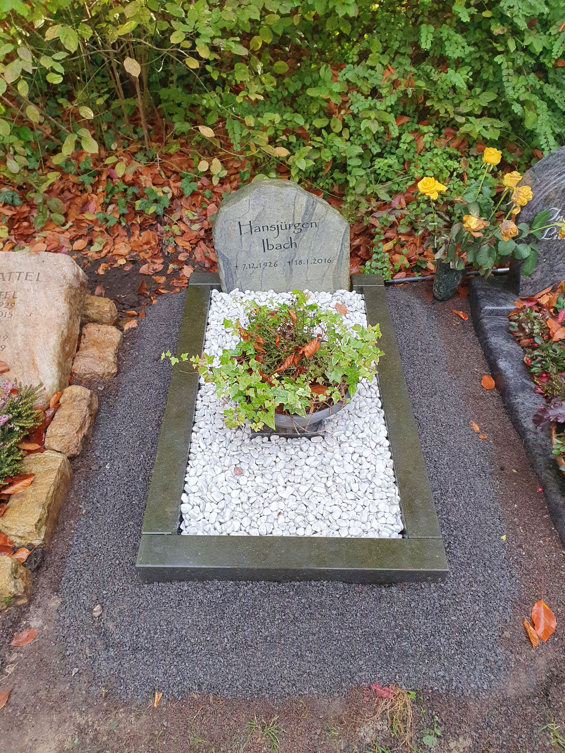 Grab mit einem steinernen Kopf, weißen Kieselsteinen, grünen Topfpflanzen, umgeben von kleinen schwarzen Steinen.