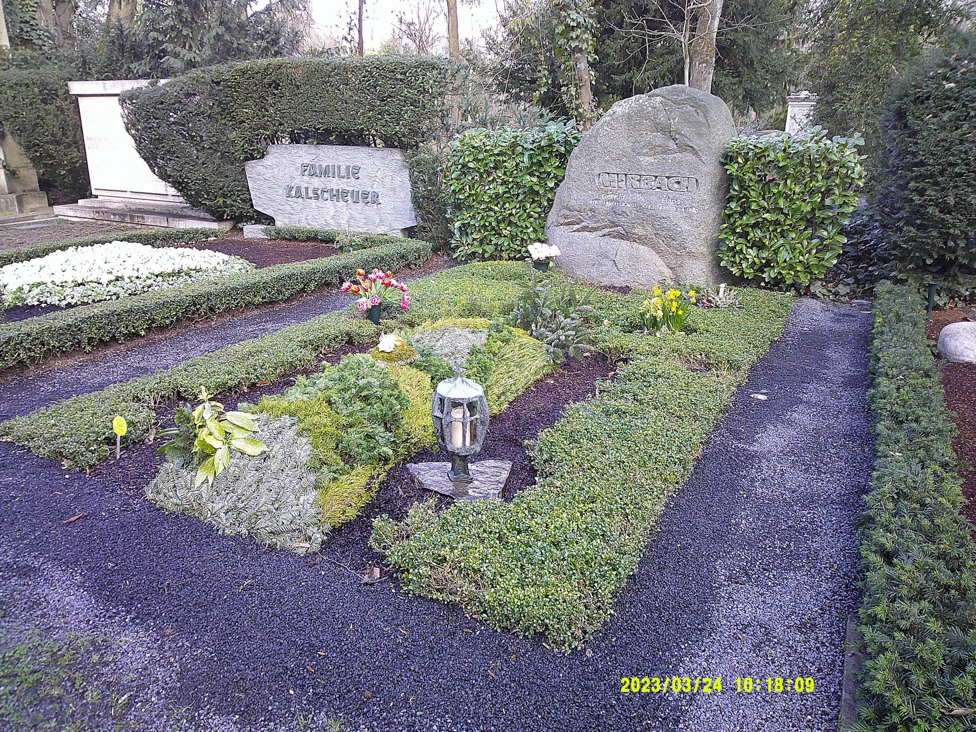 Grab mit Grabstein und großem Felsen, umgeben von Grün und kleinen Pflanzen.