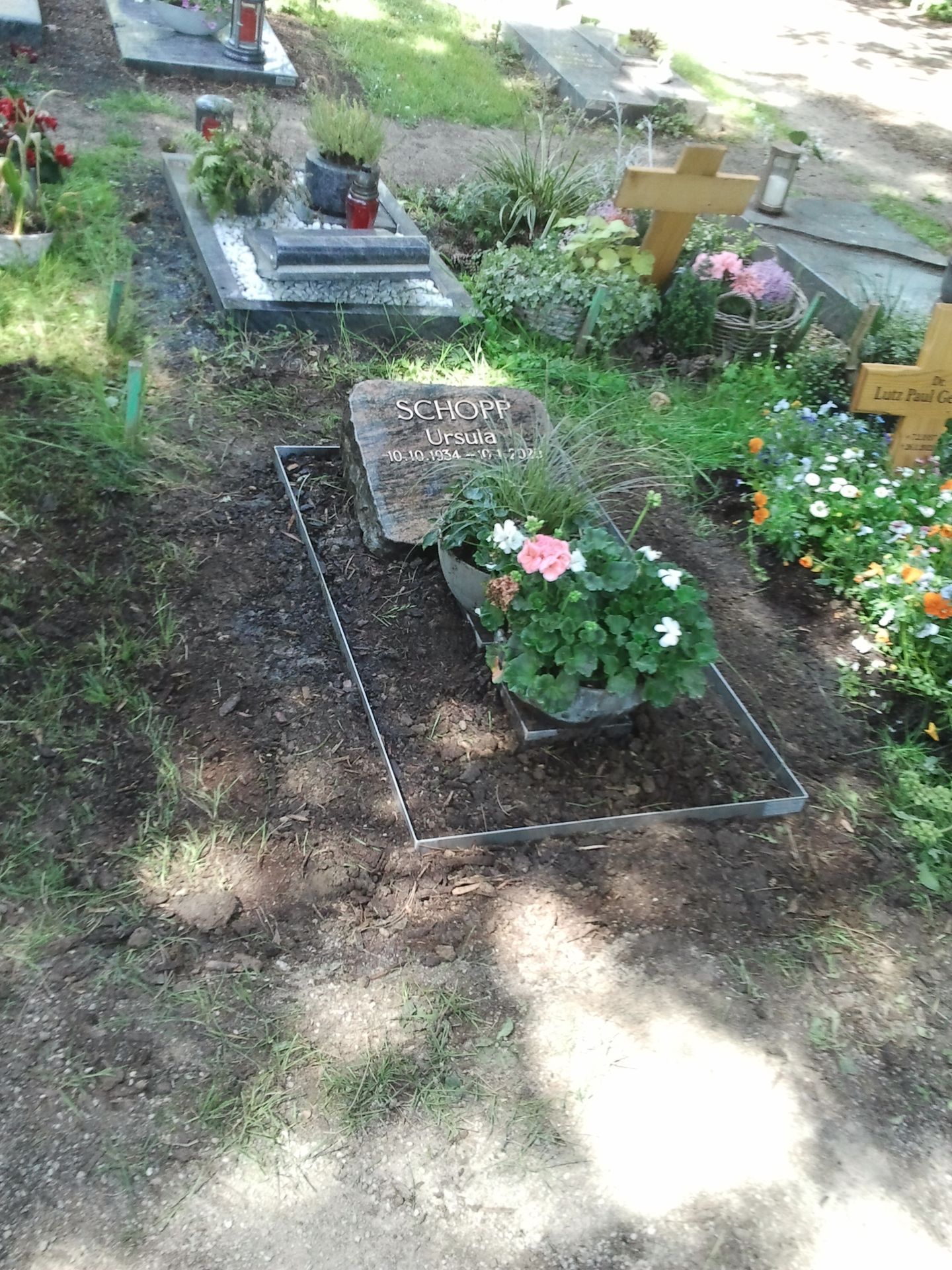 Grabstätte mit Grabstein, Blumen und Metalleinfassung. Weitere Gräber sind in einer grasbewachsenen Umgebung sichtbar.
