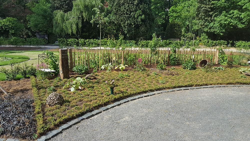 Eine Kiesauffahrt, umgeben von einem üppigen grünen Garten.