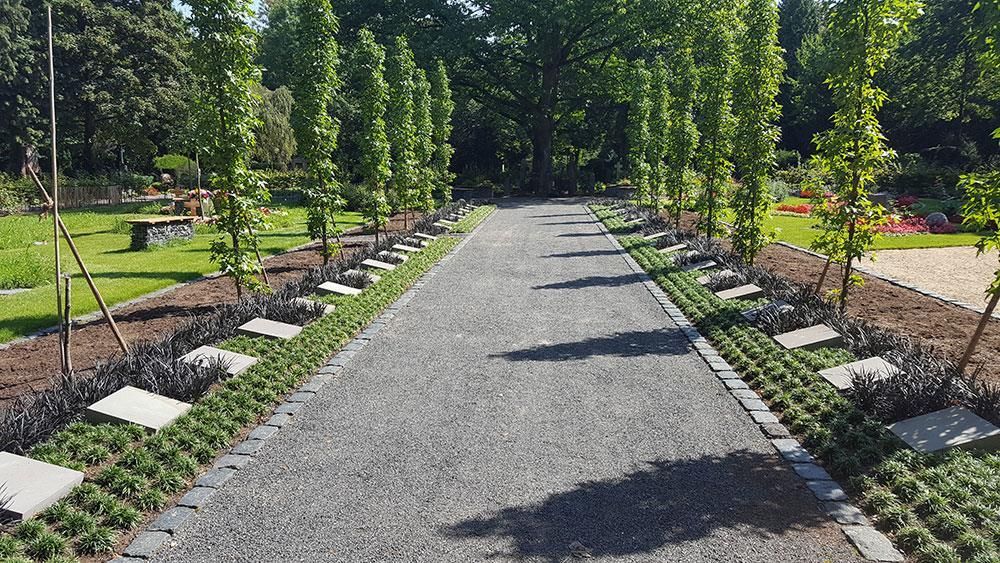 Ein Kiesweg in einem Park mit Bäumen auf beiden Seiten