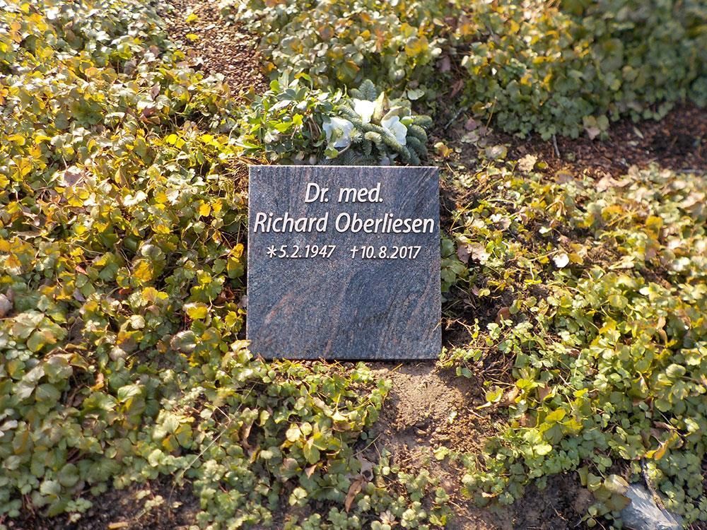 Ein Grabstein ist von Pflanzen umgeben.