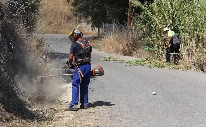 Limpieza de caminos