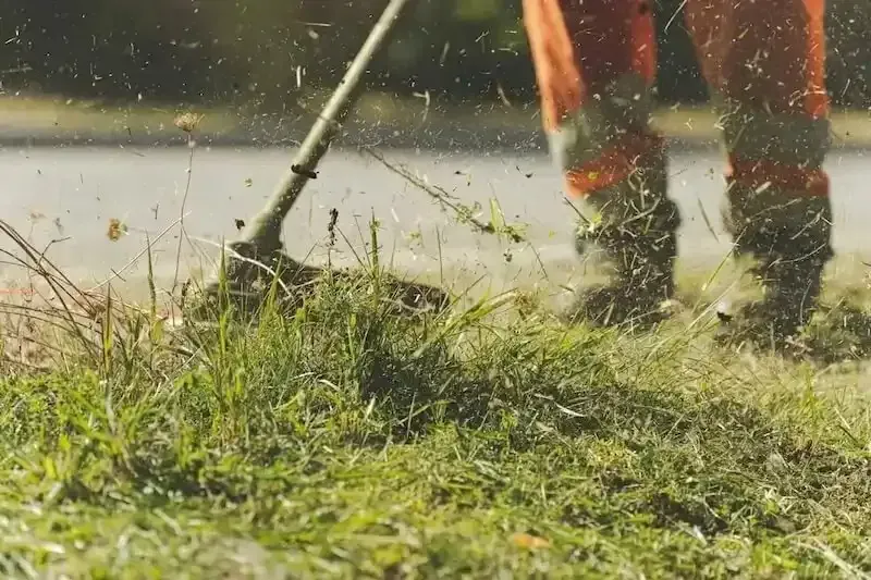 Servicio de desbroce de parcela