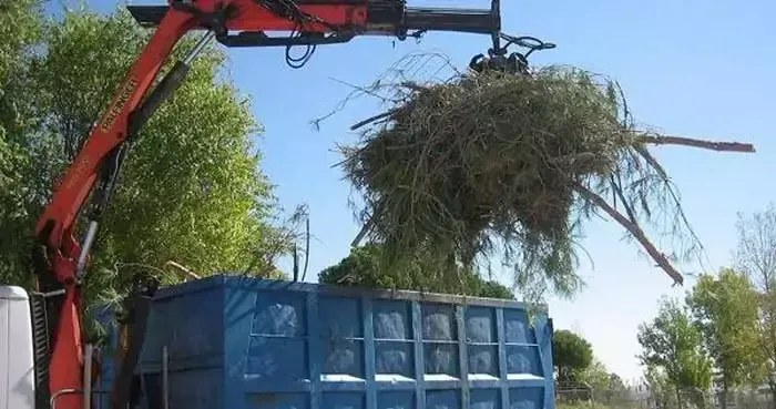 Retirada de restos de residuos vegetales