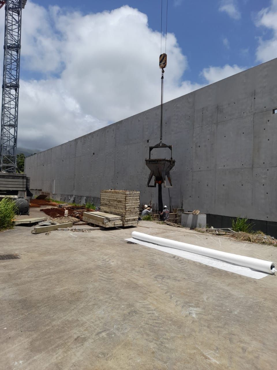 Grue qui lève une planche