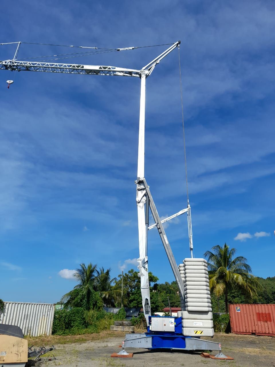 Grue blanche 