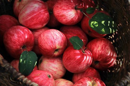 Kukkasmäki Ari Pekka