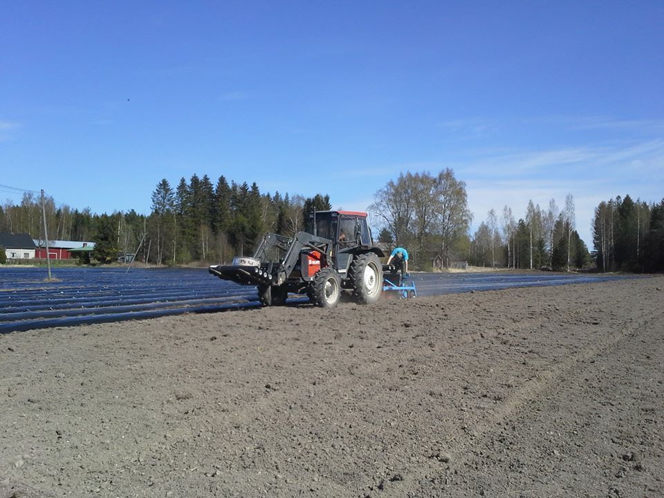 Kukkasmäki Ari Pekka