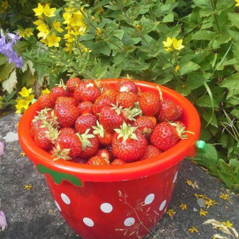 Kukkasmäki Ari Pekka