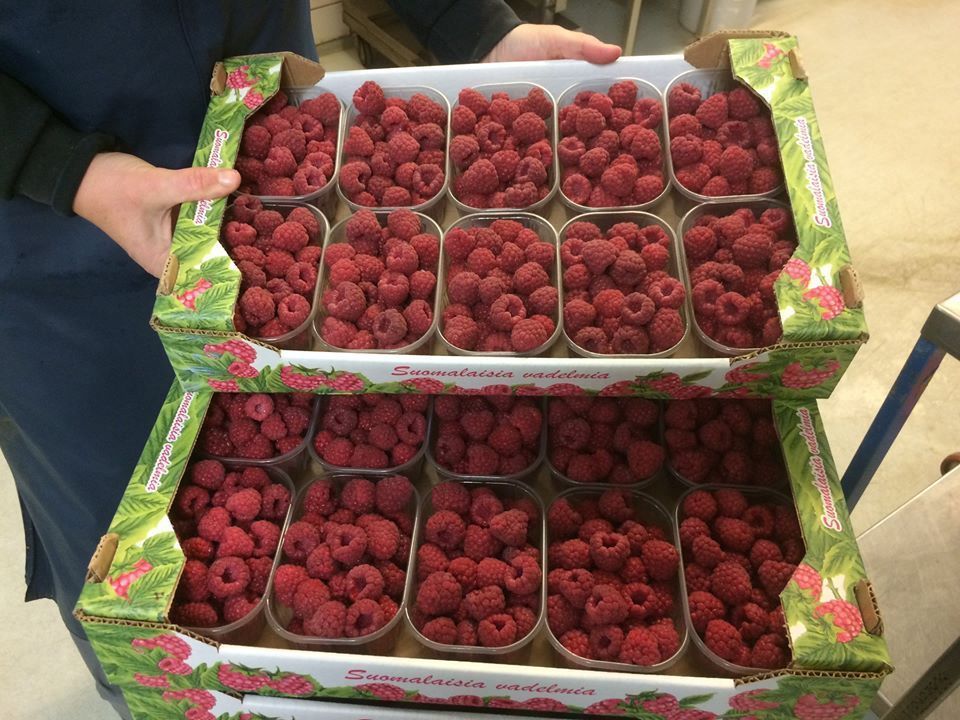 Kukkasmäki Ari Pekka